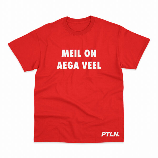T-SÄRK “MEIL ON AEGA VEEL” - Image 3